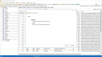 Data transfer wizard