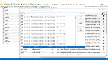 Hex / BLOB editor