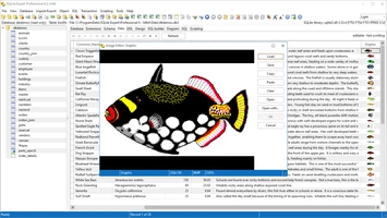 Image editor
