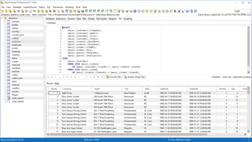 SQL editor and results grid