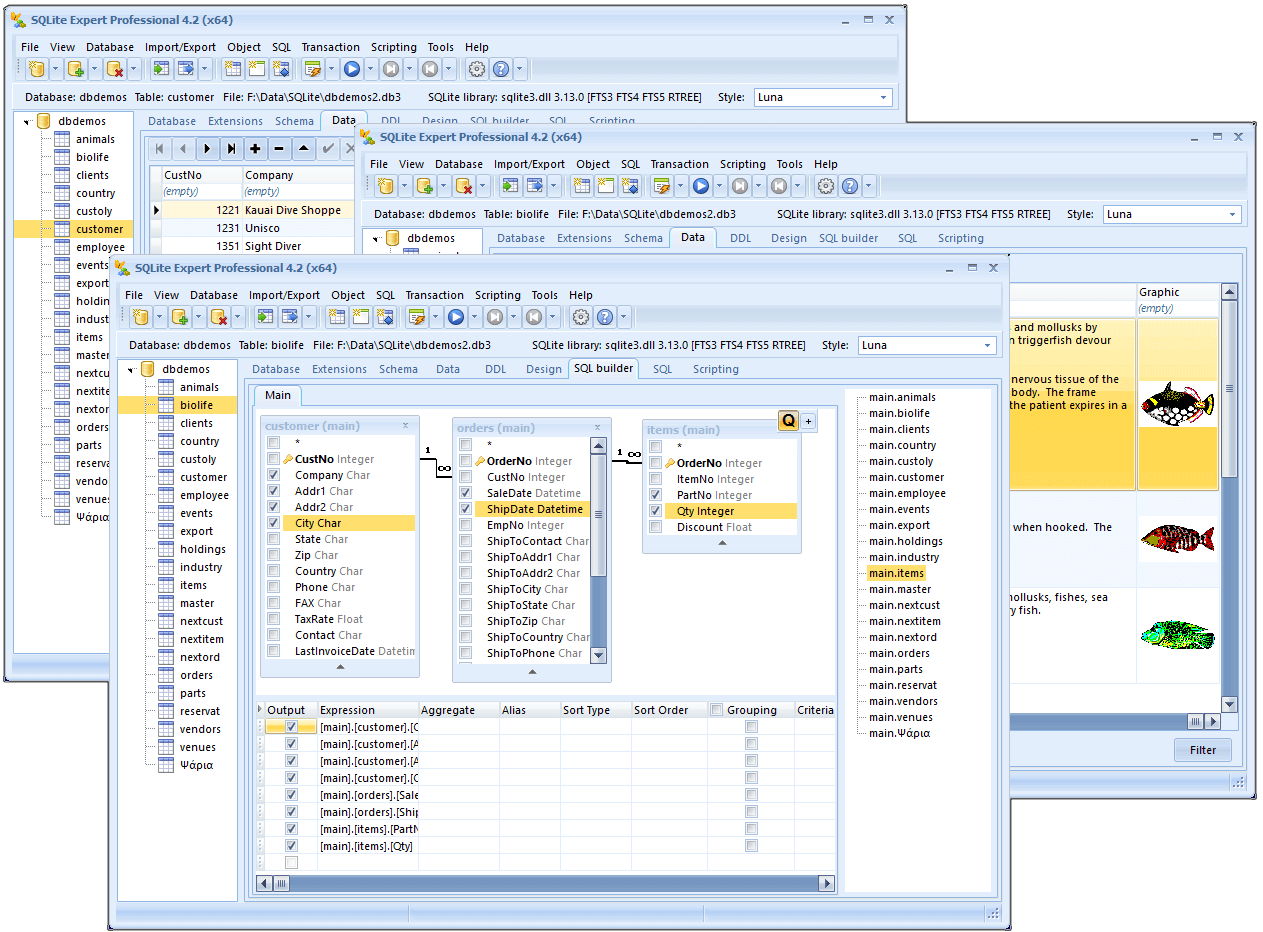 SQLite Expert Personel 5.4.34 full
